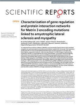 Characterization of Gene Regulation and Protein Interaction Networks for Matrin 3 Encoding Mutations Linked to Amyotrophic Later