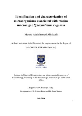 Mouna Thesis Final Version 9