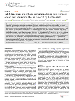 Bcl-2-Dependent Autophagy Disruption During Aging Impairs Amino Acid Utilization That Is Restored by Hochuekkito