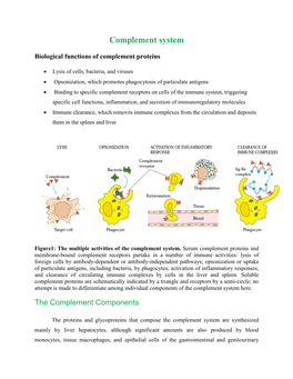 Complement System