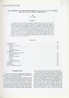 The Morphology and Relationships of Youngina Capensis Broom and Prolacerta Broomi Parrington