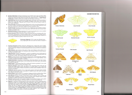 Insects-Chinery-171-181.Pdf