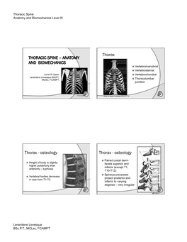 Thoracic Spine Anatomy and Miomechanics