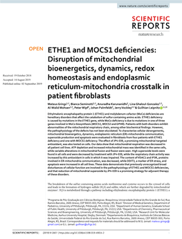 ETHE1 and MOCS1 Deficiencies: Disruption of Mitochondrial