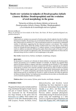 Tooth Row Variation in Tadpoles of Dendropsophus Labialis (Anura: Hylidae: Dendropsophini) and the Evolution of Oral Morphology in the Genus