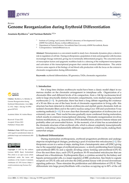 Genome Reorganization During Erythroid Differentiation