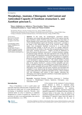 Morphology, Anatomy, Chlorogenic Acid Content and Antioxidant Capacity of Xanthium Strumarium L