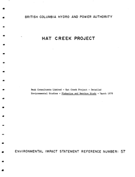 Hat Creek Project