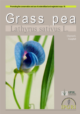 Grass Pea, Lathyrus Sativus L. Msc