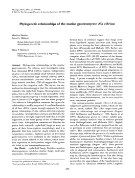 Phylogenetic Relationships of the Marine Gasteromycete Nia Vibrissa