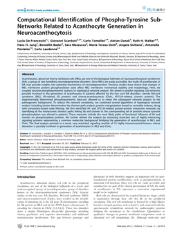 Computational Identification of Phospho-Tyrosine Sub-Networks Related to Acanthocyte Generation in Neuroacanthocytosis