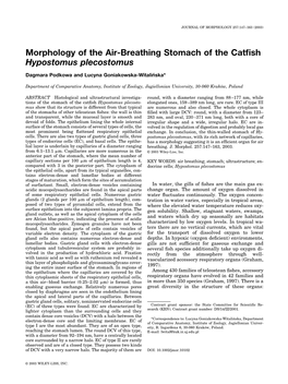 Morphology of the Air-Breathing Stomach of the Catfish Hypostomus Plecostomus