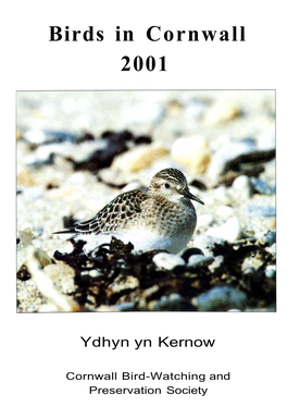 Birds in Cornwall 2001