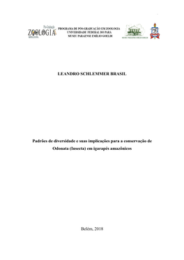 LEANDRO SCHLEMMER BRASIL Padrões De Diversidade E Suas Implicações Para a Conservação De Odonata (Insecta) Em Igarapés