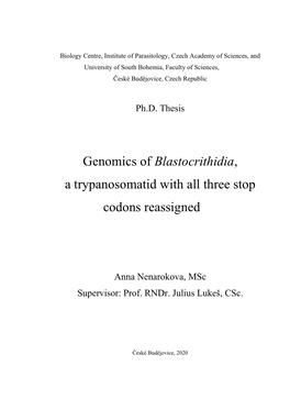 Genomics of Blastocrithidia, a Trypanosomatid with All Three Stop Codons Reassigned