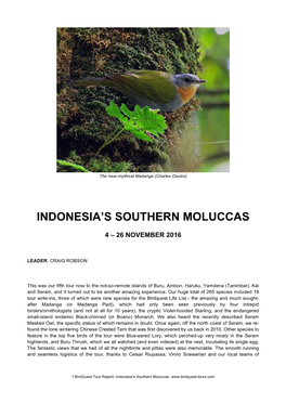 Indonesia's Southern Moluccas