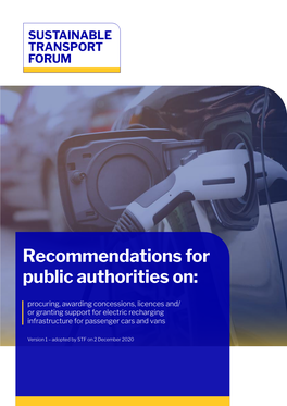 Recommendations for Public Authorities On