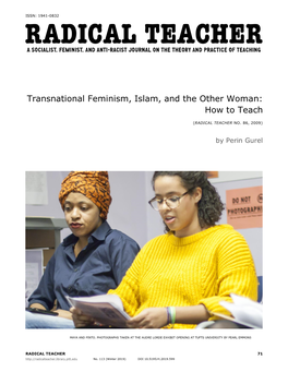 Transnational Feminism, Islam, and the Other Woman: How to Teach