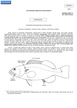 Serran 1983 Fao Species Identification Sheets