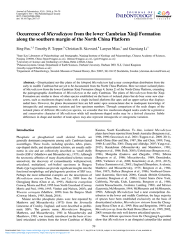 Occurrence of Microdictyon from the Lower Cambrian Xinji Formation Along the Southern Margin of the North China Platform