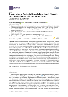 Transcriptome Analysis Reveals Functional Diversity in Salivary Glands of Plant Virus Vector, Graminella Nigrifrons