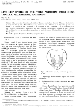 APOIDEA, MEGACHILIDAE, ANTHIDIINI) WU Yan�Ru Institute of Zoology , Chinese a Cademy of S Ciences, Beij Ing � 100080, China
