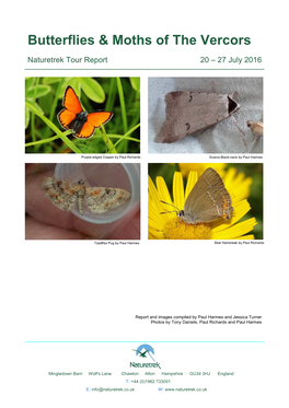 Butterflies & Moths of the Vercors