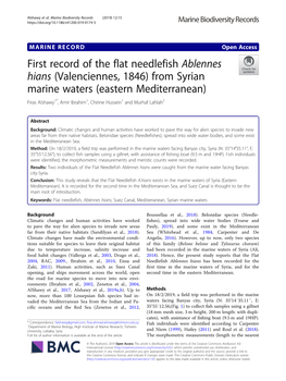 First Record of the Flat Needlefish Ablennes Hians (Valenciennes