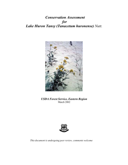 Lake Huron Tansy (Tanacetum Huronense) Nutt