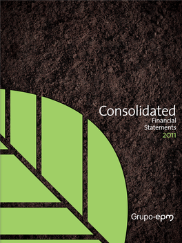 Consolidated Financial Statements 2011