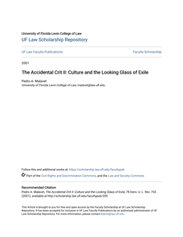 The Accidental Crit II: Culture and the Looking Glass of Exile