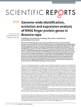 Genome-Wide Identification, Evolution and Expression Analysis of RING