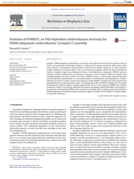 Evolution of FOXRED1, an FAD-Dependent Oxidoreductase Necessary for NADH:Ubiquinone Oxidoreductase (Complex I) Assembly