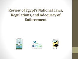 Review of Egypt's National Laws, Regulations, and Adequacy Of