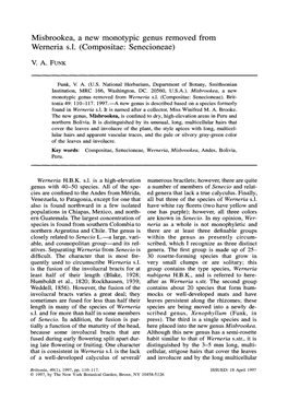 Misbrookea, a New Monotypic Genus Removed from Werneria S.L. (Compositae: Senecioneae)