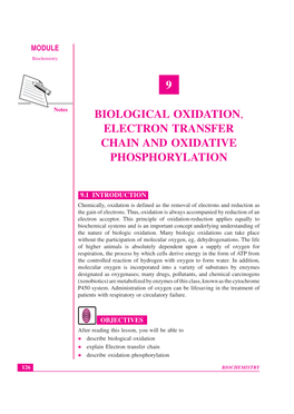 9 Biological Oxidation, Electron Transfer Chain