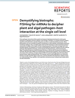 Fishing for Mrnas to Decipher Plant and Algal Pathogen–Host Interaction at the Single Cell Level Julia Badstöber1, Claire M