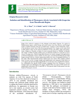 Isolation and Identification of Plasmopara Viticola Associated with Grapevine from Marathwada Region