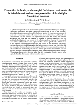 Placentation in the Dasyurid Marsupial, Sminthopsis Crassicaudata, the Fat-Tailed Dunnart, and Notes on Placentation of the Didelphid, Monodelphis Domestica C