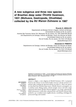 A New Subgenus and Three New Species of Brazilian Deep Water Olivella Swainson, 1831 (Mollusca, Gastropoda, Olivellidae) Collected by the RV Marion Dufresne in 1987