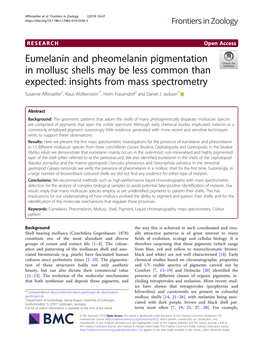 Eumelanin and Pheomelanin Pigmentation