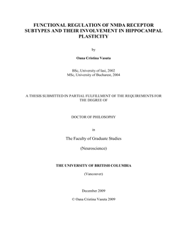 Functional Regulation of Nmda Receptor Subtypes and Their Involvement in Hippocampal Plasticity