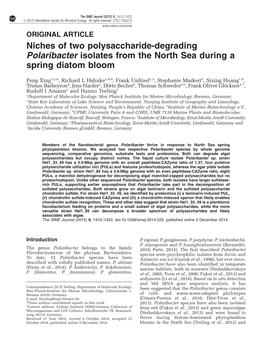 Niches of Two Polysaccharide-Degrading Polaribacter Isolates from the North Sea During a Spring Diatom Bloom