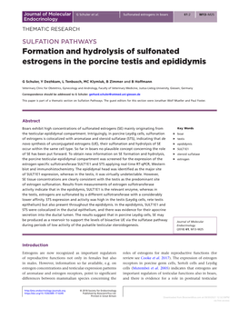 Formation and Hydrolysis of Sulfonated Estrogens in the Porcine Testis and Epididymis