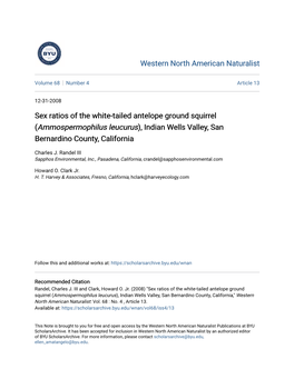 Sex Ratios of the White-Tailed Antelope Ground Squirrel (Ammospermophilus Leucurus), Indian Wells Valley, San Bernardino County, California