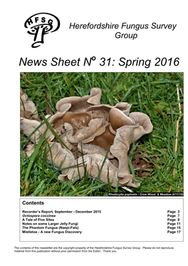 News Sheet N 31: Spring 2016