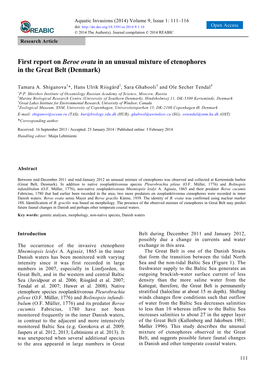 First Report on Beroe Ovata in an Unusual Mixture of Ctenophores in the Great Belt (Denmark)