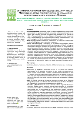 Hantzschia Subandina Frenguelli (Bacillariophyceae): Morphology, Status and Typification, As Well As the Description of a New Species of Nitzschia