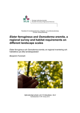 Elater Ferrugineus and Osmoderma Eremita, a Regional Survey and Habitat Requirements on Different Landscape Scales