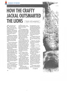 How the Crafty Jackal Outsmarjed the Lions